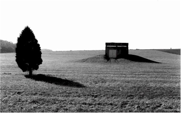 BateStart2.jpg (87115 bytes)