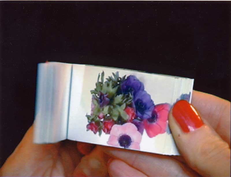 Suky Best Wildlife Documentaries