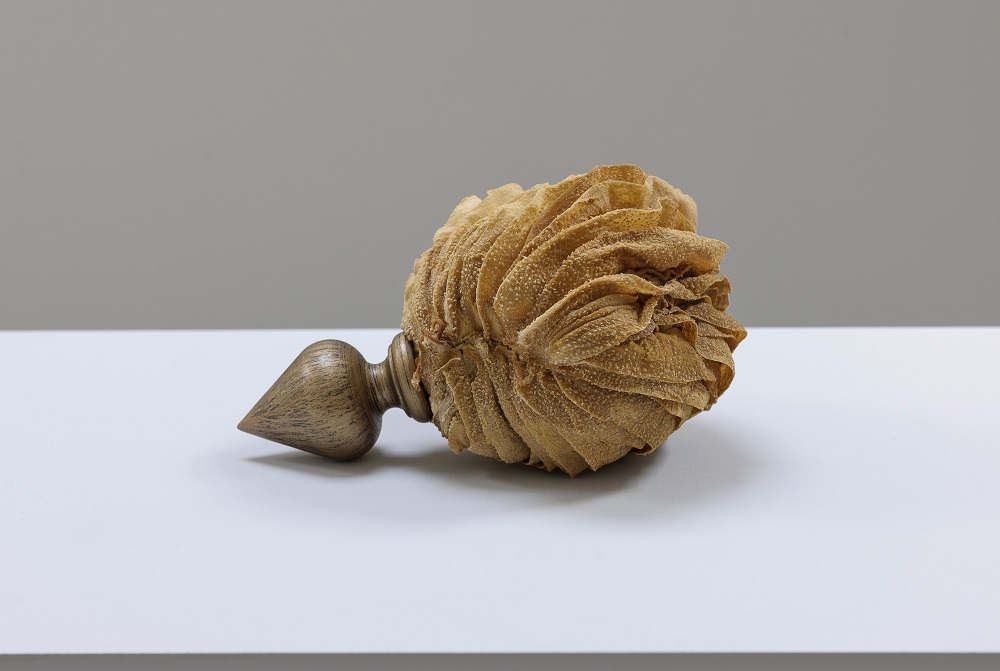 Danielle Arnaud Contemporary Art