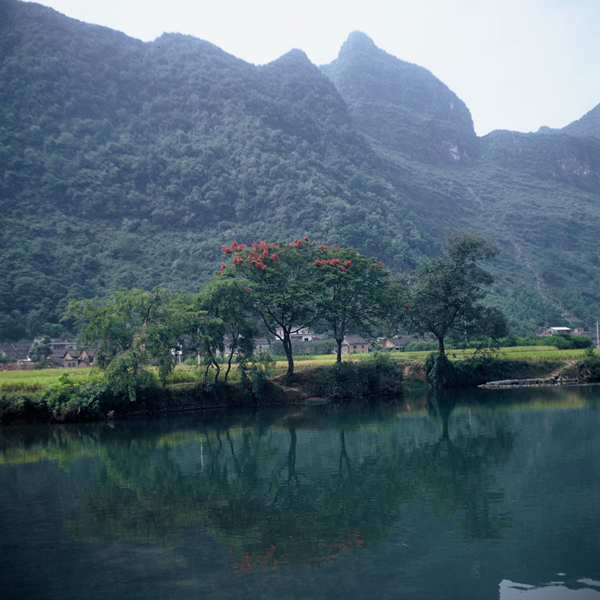 Chinese Arboretum