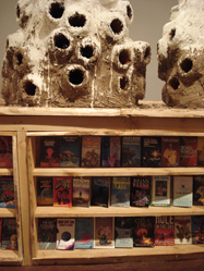 Heather & Ivan Morison Library 1 detail