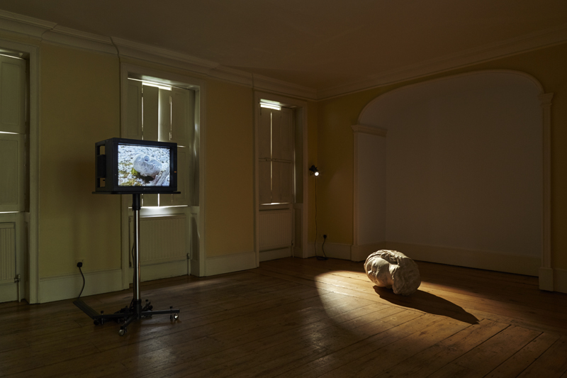 Object of Doubt, Install shot 3